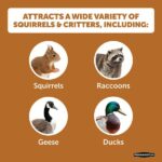 Pennington 6.5 lb. Ear Corn Cobs Wildlife Treats for Squirrels, Geese and Ducks 100542062