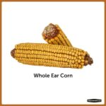 Pennington 6.5 lb. Ear Corn Cobs Wildlife Treats for Squirrels, Geese and Ducks 100542062