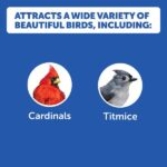 Pennington 7 lbs. Wild Bird Seed Food Jug 100551203