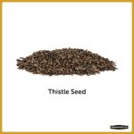 Pennington Premium 10 lb. Thistle Nyjer Bird Seed Food for Finches and Other Wild Birds 100542056