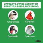 Pennington Premium 7 lb. Safflower Bird Seed Food 100542051