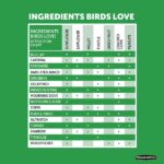 Pennington Premium 7 lb. Safflower Bird Seed Food 100542051