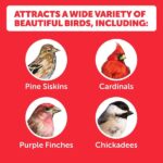 Pennington Premium Birder's Blend 6.5 lbs. Bird Seed Food Jug 100551204