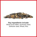 Pennington Premium Birder's Blend 6.5 lbs. Bird Seed Food Jug 100551204