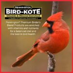 Pennington Premium Birder's Blend 6.5 lbs. Bird Seed Food Jug 100551204