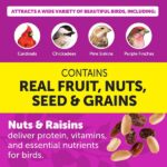 Pennington Ultimate 14 lb. Nut and Fruit Bird Seed Food Blend 100542065