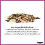 Pennington Ultimate 14 lb. Nut and Fruit Bird Seed Food Blend 100542065