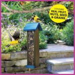 Pennington Ultimate 14 lb. Nut and Fruit Bird Seed Food Blend 100542065