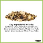 Pennington Ultimate 6 lb. Waste Free Nut and Fruit Bird Seed Food Blend 100542048