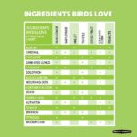 Pennington Ultimate 6 lb. Waste Free Nut and Fruit Bird Seed Food Blend 100542048