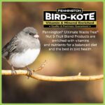 Pennington Ultimate 6 lb. Waste Free Nut and Fruit Bird Seed Food Blend 100542048