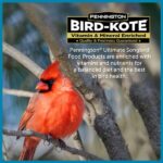 Pennington Ultimate 7 lb. Songbird Blend Bird Seed Food (2-Pack) 100542047