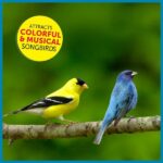 Pennington Ultimate 7 lb. Songbird Blend Bird Seed Food (2-Pack) 100542047