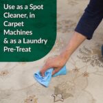 Simple Green 1 Gal. Bio Dog Pet Stain and Odor Remover (4-Case) 2010000415302