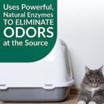 Simple Green 1 Gal. Cat Pet Stain and Odor Remover (4-Case) 2010000415312