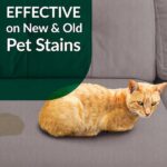 Simple Green 1 Gal. Cat Pet Stain and Odor Remover (4-Case) 2010000415312