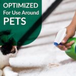 Simple Green 1 Gal. Cat Pet Stain and Odor Remover (4-Case) 2010000415312