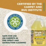 Simple Green 1 Gal. Clean Building Carpet Cleaner Concentrate 1200000111201