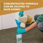 Simple Green 1 Gal. Clean Building Carpet Cleaner Concentrate 1200000111201