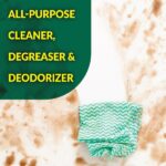 Simple Green 2 oz. Concentrated All-Purpose Cleaner with Pump (Case of 48) 2710004813103