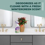 Simple Green 32 oz. Ready-To-Use Bathroom Cleaner (Case of 12) 2510001202032